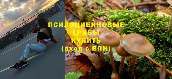 PSILOCYBIN Алзамай