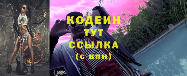 PSILOCYBIN Алзамай