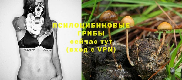 PSILOCYBIN Алзамай
