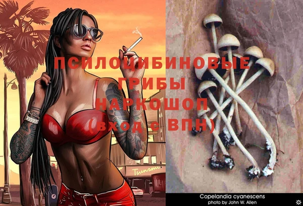 MDMA Premium VHQ Алексеевка
