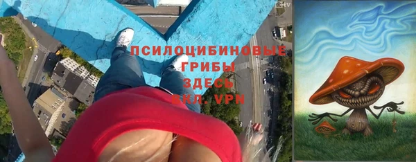 PSILOCYBIN Алзамай