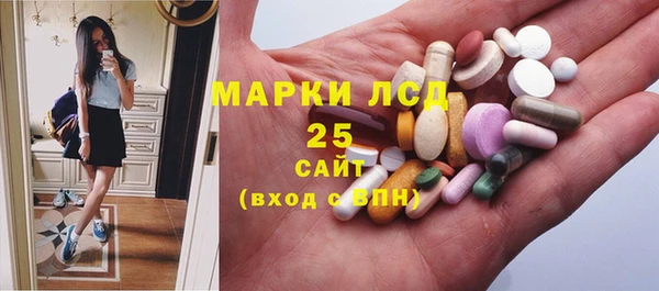 PSILOCYBIN Алзамай