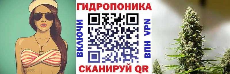 Бошки Шишки индика  где найти   Кулебаки 